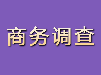 扬州商务调查